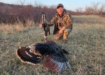 The large Sevr Broadhead disabled the gobbler for an easy recovery.