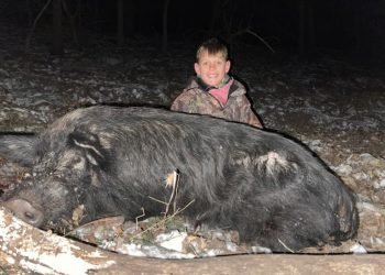 Champ with a large wild boar he arrowed with my crossbow last year when he was 12.