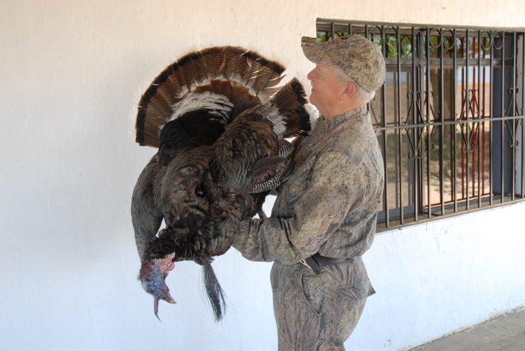 This Gould's gobbler was the trophy of a lifetime.