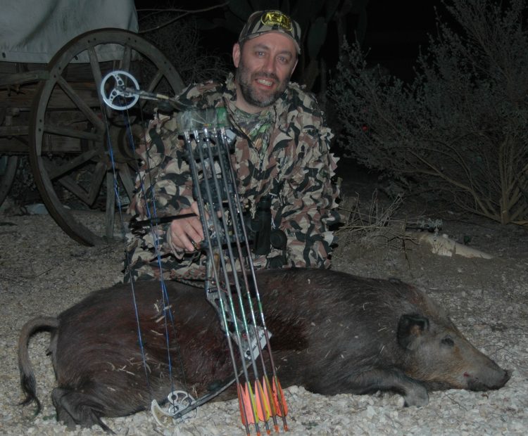 Hogs have keen noses but poor eyesight, making spot-and-stalk hunting a viable option
for the bowhunter.