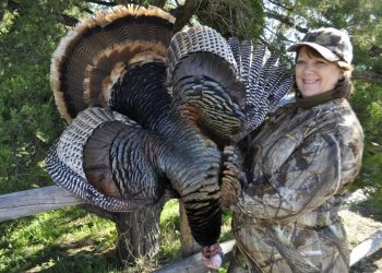Spring gobblers are a fantastic trophy and very challenging with a bow.