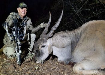 This giant, one-ton Livingston eland fell to a single arrow from a TenPoint 505.