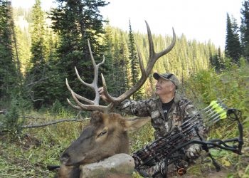 This nice bull was taken on public land in Wyoming.  Now is the time to start buying preference points.
