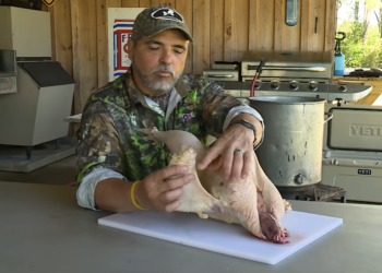 TONY RUEZ Shows Us How To How To Pluk A Wild Turkey.